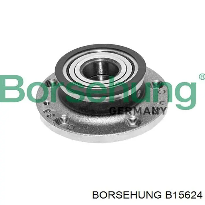 B15624 Borsehung Cubo traseiro