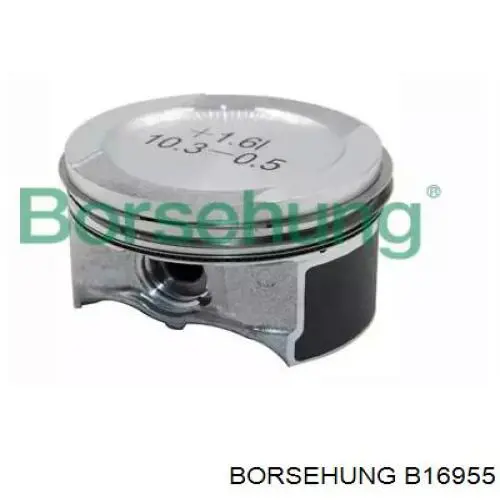 3104316000 Yenmak Pistão (kit para um motor), STD