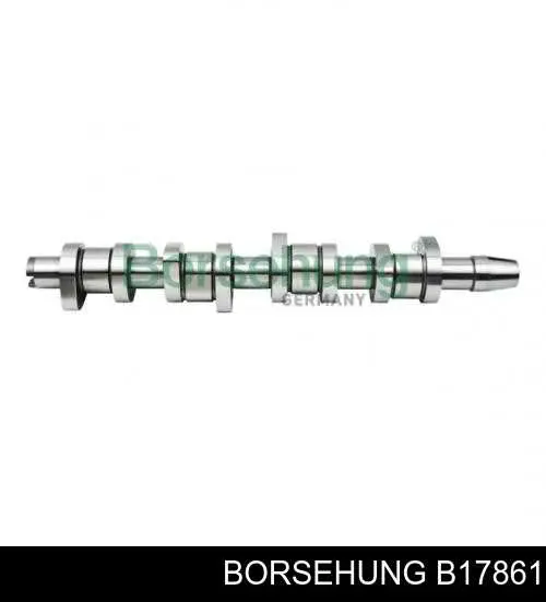 B17861 Borsehung Árvore distribuidora de motor