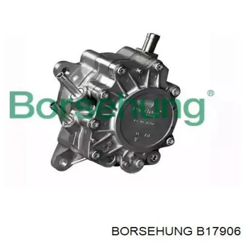 B17906 Borsehung Bomba de combustível de tandem