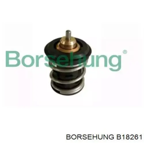 B18261 Borsehung Termostato
