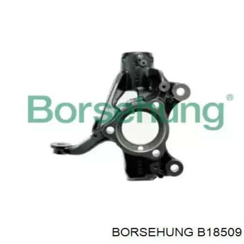 Compre B18509 Borsehung Pino moente (extremidade do eixo) dianteiro direito