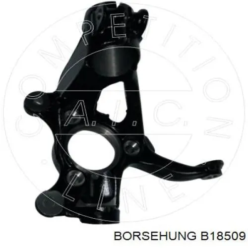 B18509 Borsehung Pino moente (extremidade do eixo) dianteiro direito