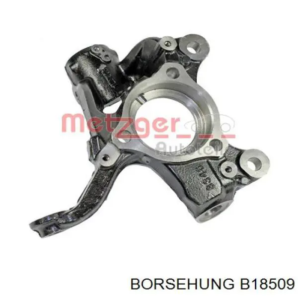 Pino moente (extremidade do eixo) dianteiro direito Borsehung B18509 preço, a partir de 114,66 USD