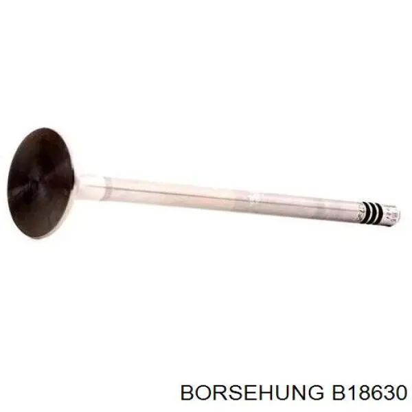 B18630 Borsehung Válvula de escape