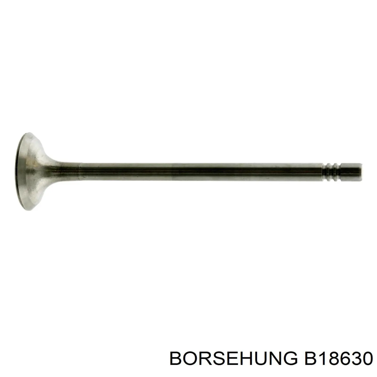 Válvula de escape Borsehung B18630 preço, a partir de 26,51 USD