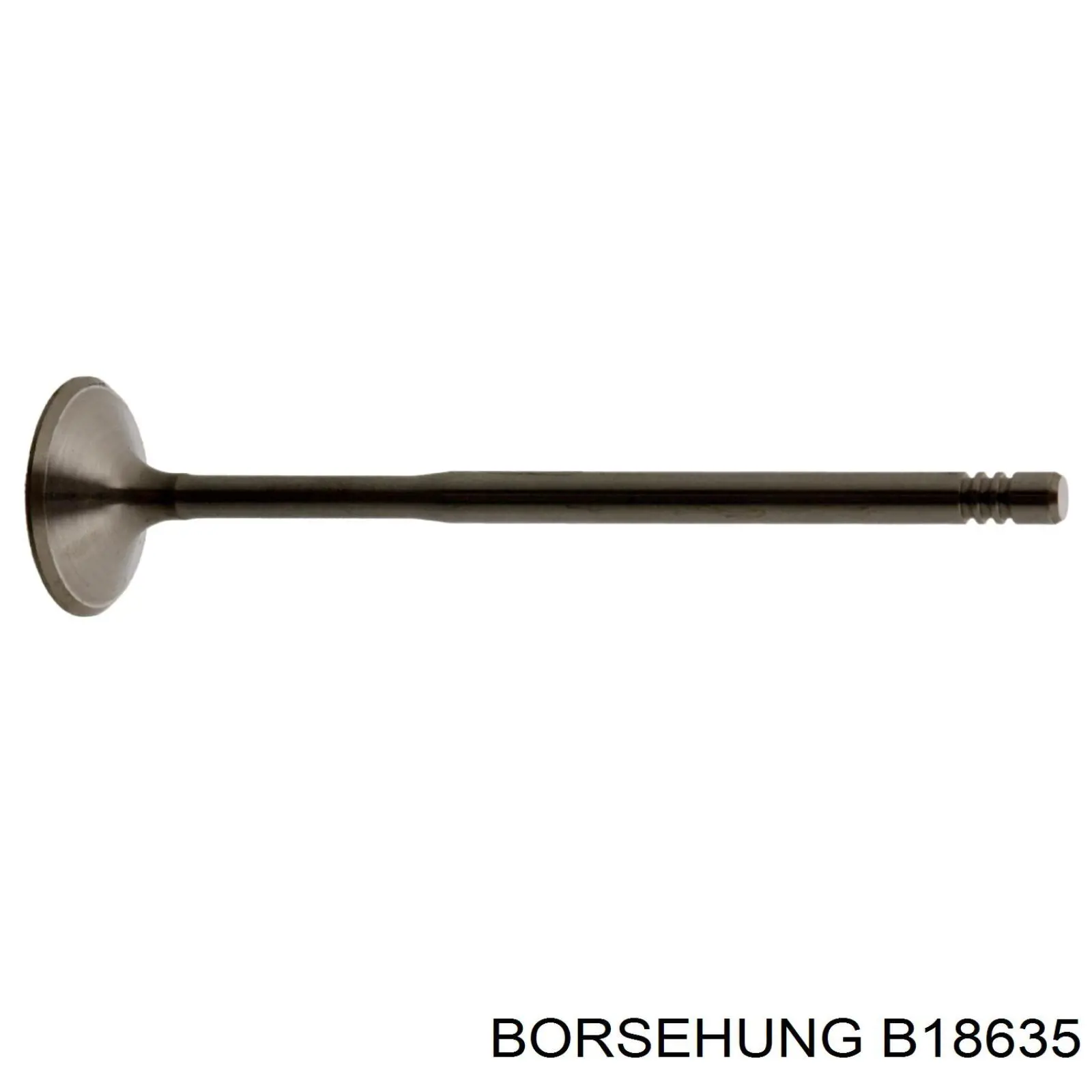B18635 Borsehung Válvulas de motor, kit