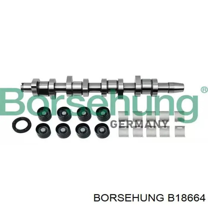 Árvore distribuidora de motor, kit Borsehung B18664 preço, a partir de 279,47 USD