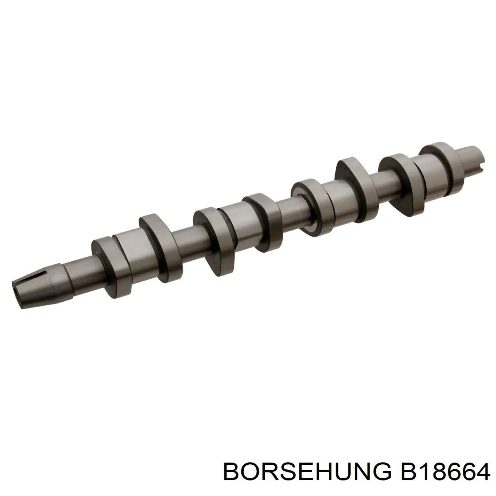 B18664 Borsehung Árvore distribuidora de motor, kit