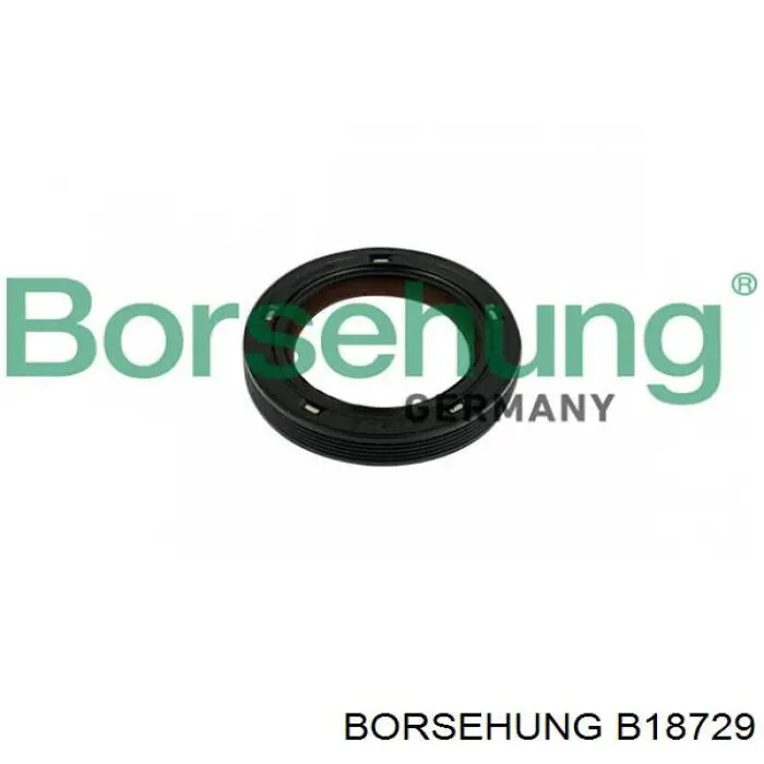 B18729 Borsehung Vedação da árvore distribuidora de motor
