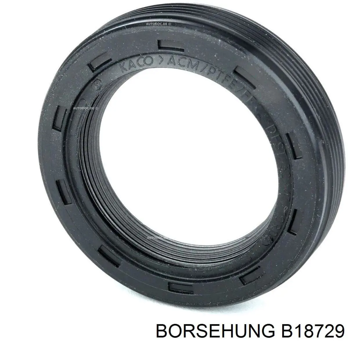 Compre B18729 Borsehung Vedação da árvore distribuidora de motor