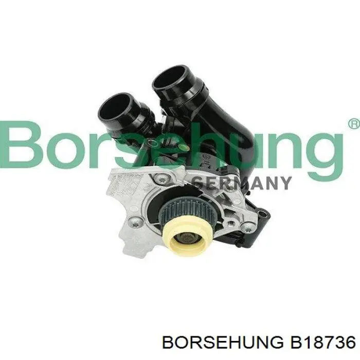 Bomba de água (bomba) de esfriamento, montada com caixa Borsehung B18736 preço, a partir de 122,94 USD