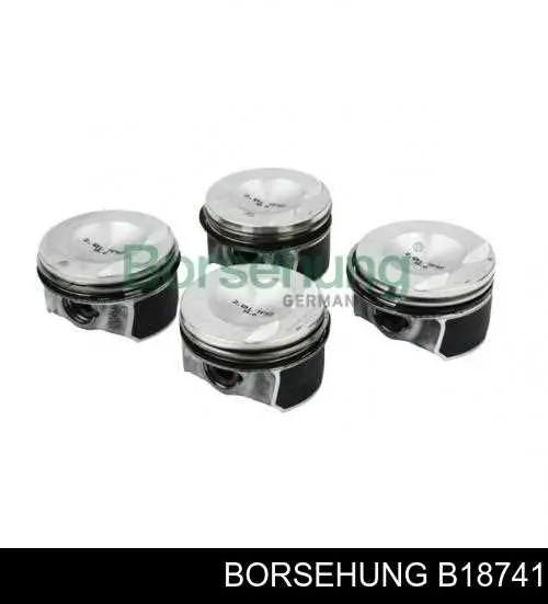 B18741 Borsehung 
