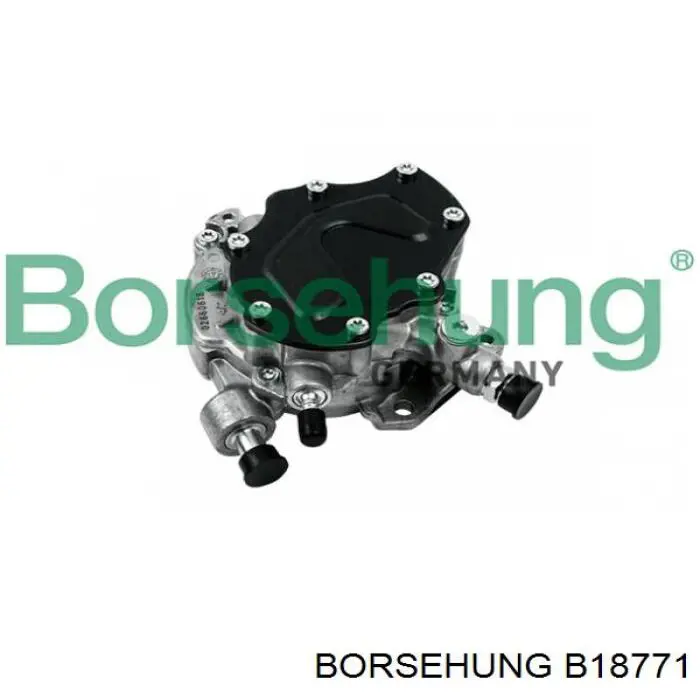 B18771 Borsehung Bomba de combustível de tandem