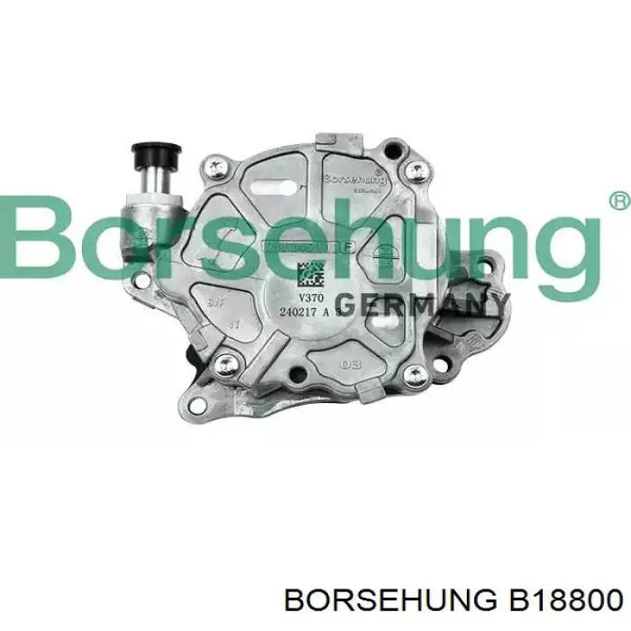 B18800 Borsehung Bomba a vácuo