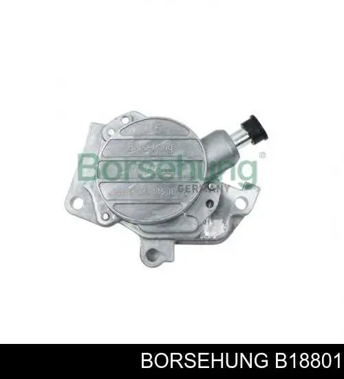 B18801 Borsehung Bomba a vácuo
