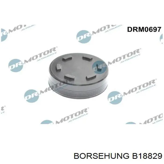 Compre B18829 Borsehung Balanceiro de válvula (balanceiro de válvulas)