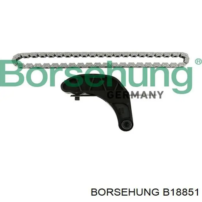 B18851 Borsehung 