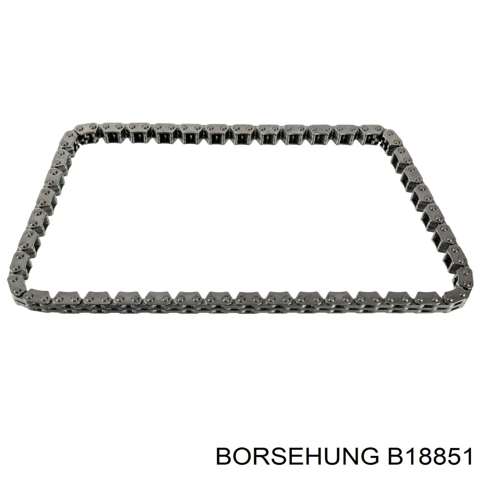Compre B18851 Borsehung 
