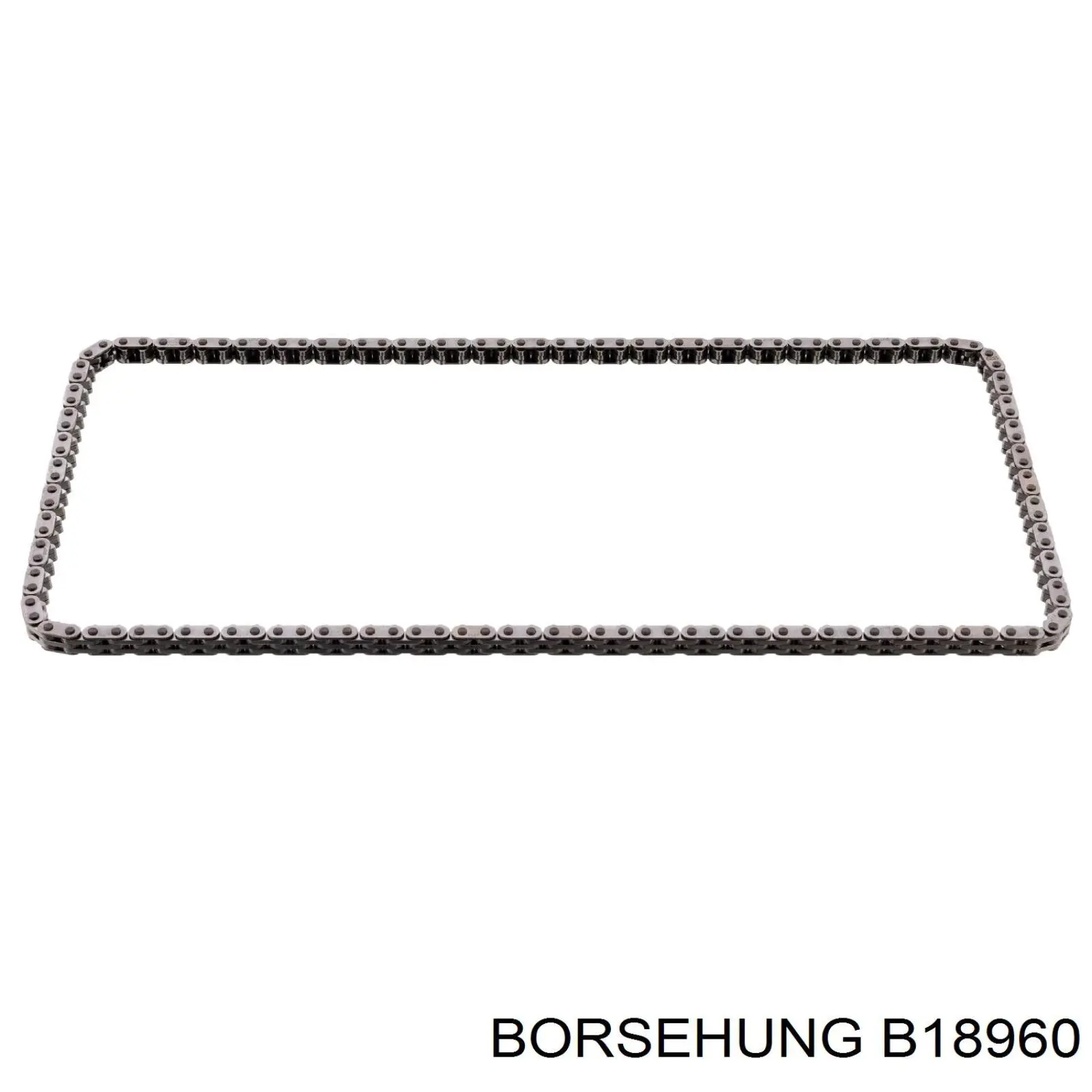 B18960 Borsehung Cadeia do mecanismo de distribuição de gás, kit