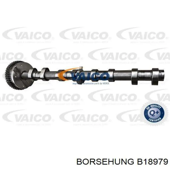 B18979 Borsehung Árvore distribuidora de motor de admissão