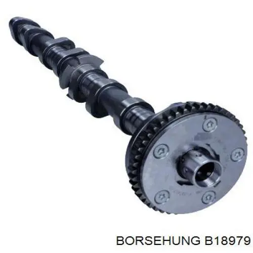 Árvore distribuidora de motor de admissão Borsehung B18979 preço, a partir de 461,34 USD