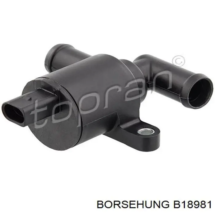 B18981 Borsehung Válvula de forno (de aquecedor)