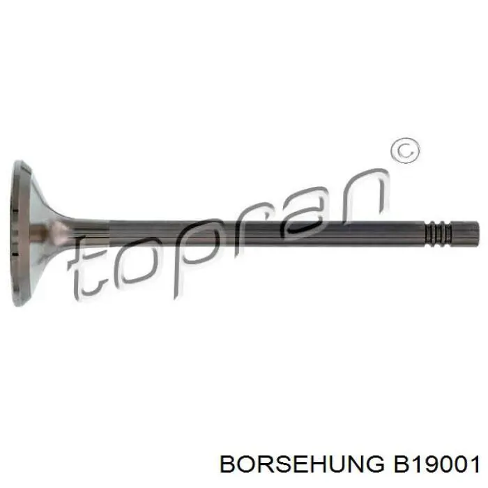 Válvula de escape Borsehung B19001 preço, a partir de 12,90 USD