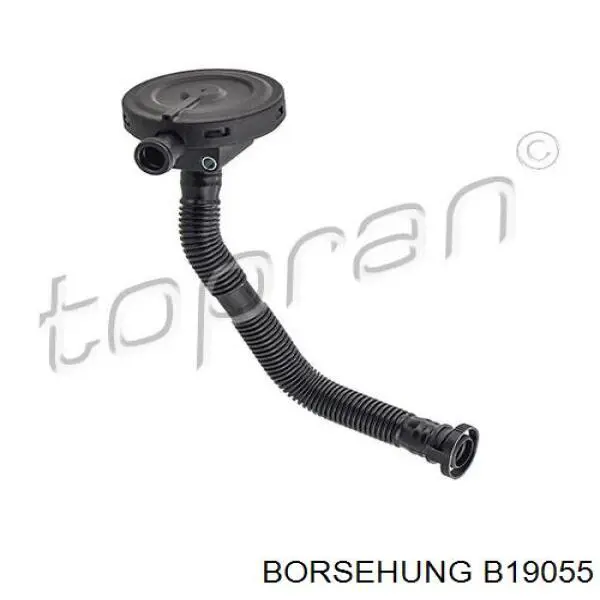 B19055 Borsehung Válvula PCV de ventilação dos gases de cárter