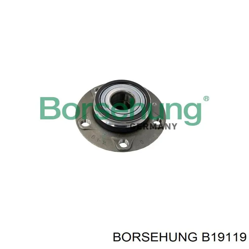 B19119 Borsehung Cubo traseiro