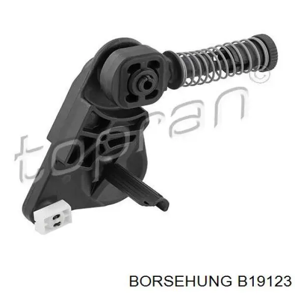 B19123 Borsehung 