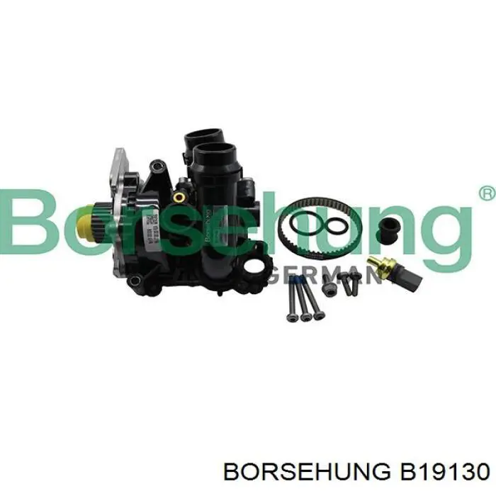 B19130 Borsehung 