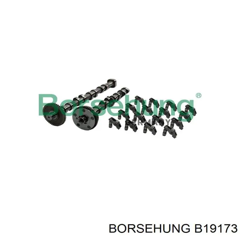 B19173 Borsehung Árvore distribuidora de motor, kit