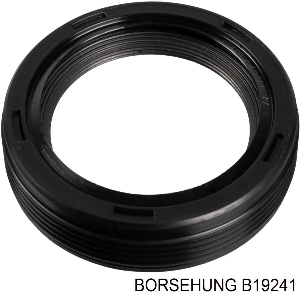 B19241 Borsehung Vedação dianteira de cambota de motor