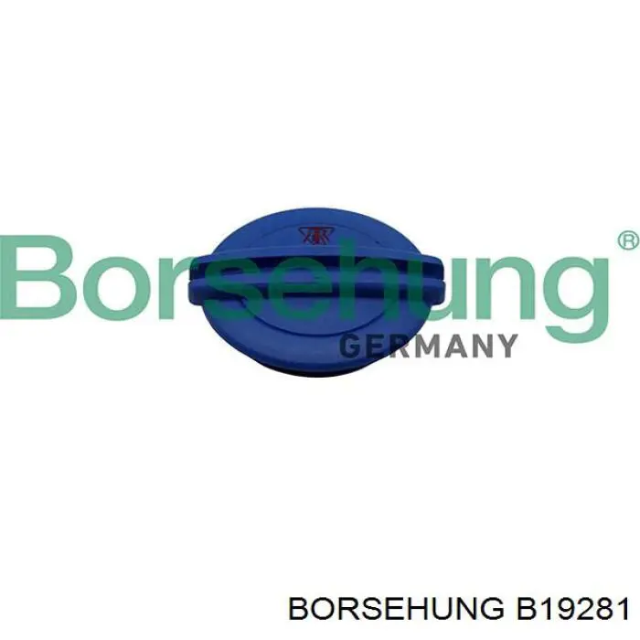 Compre B19281 Borsehung Tampa (tampão) do tanque de expansão