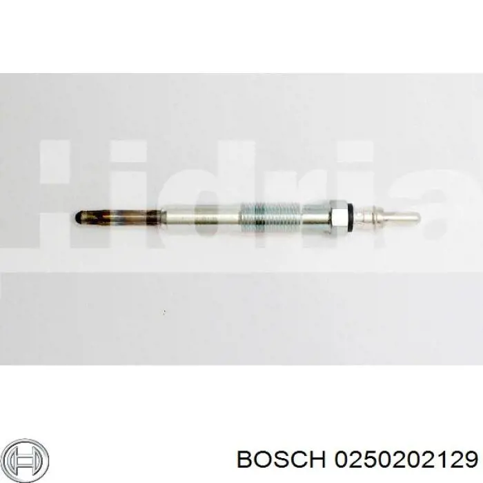 Compre 0250202129 Bosch Vela de incandescência