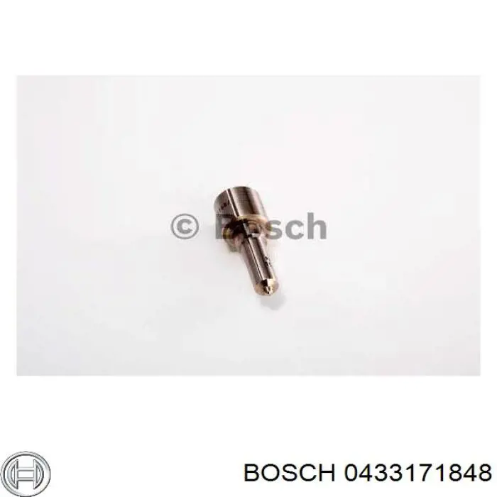 Compre 433171848 Bosch Pulverizador de diesel do injetor