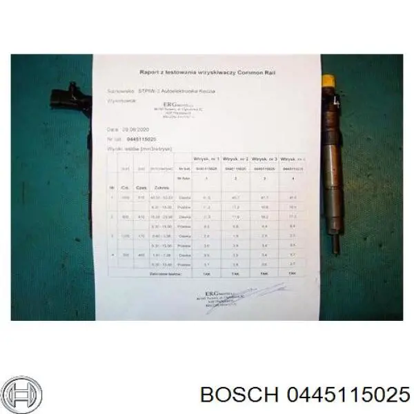 Compre 0445115025 Bosch Injetor de injeção de combustível
