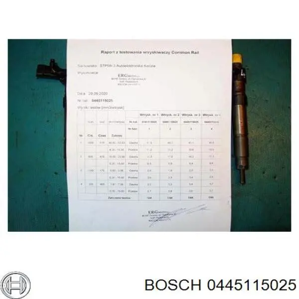 Compre 0445115025 Bosch Injetor de injeção de combustível