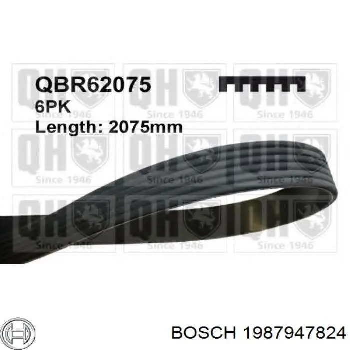 Compre 1987947824 Bosch Correia dos conjuntos de transmissão