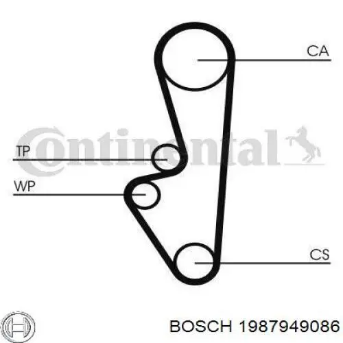 Compre CT524 Continental/Siemens Correia do mecanismo de distribuição de gás