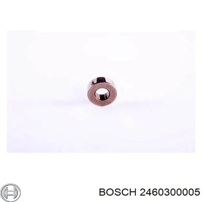 2460300005 Bosch 