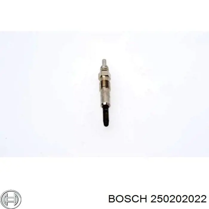 250202022 Bosch Vela de incandescência