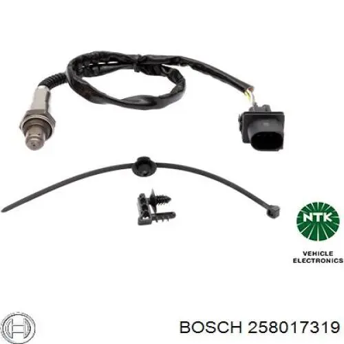 258017319 Bosch Sonda lambda, sensor de oxigênio até o catalisador