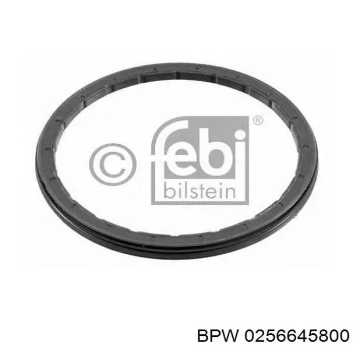 0256645800 BPW Bucim de cubo traseiro
