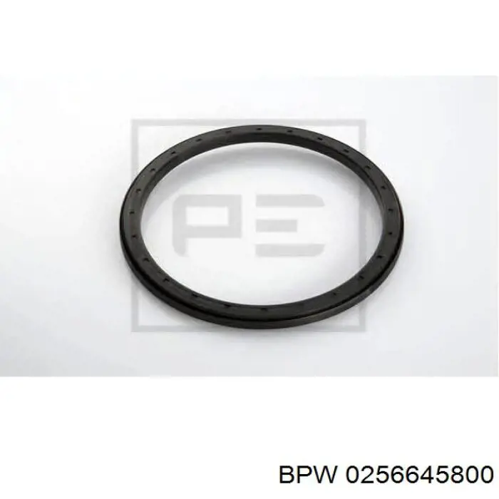 Compre 0256645800 BPW Bucim de cubo traseiro