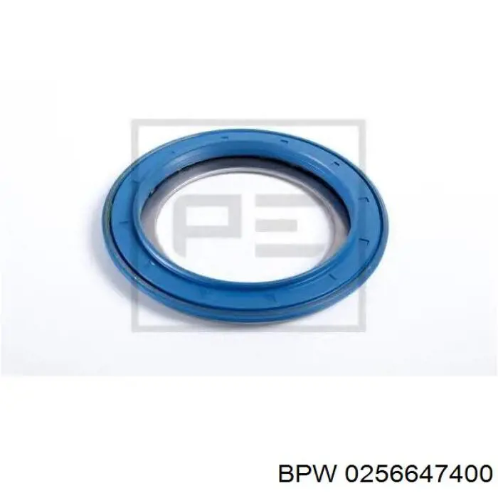 0256647400 BPW Bucim de cubo traseiro