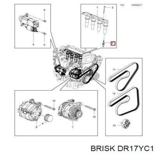 DR17YC1 Brisk Vela de ignição