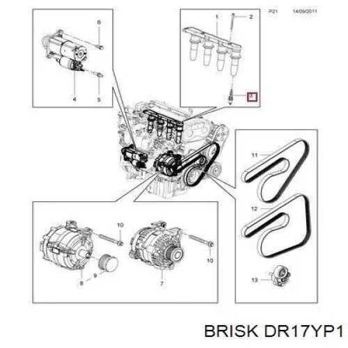DR17YP1 Brisk Vela de ignição
