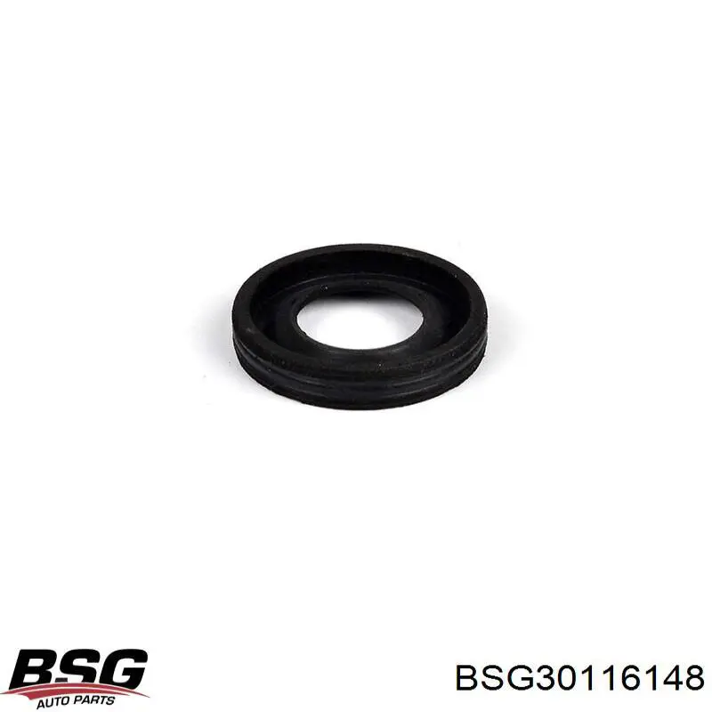 Anel (arruela) do injetor de ajuste BSG BSG30116148 preço, a partir de 7,09 USD